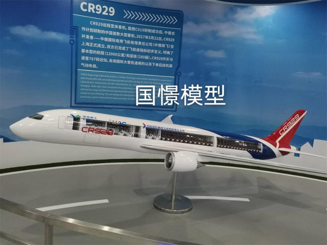 光山县飞机模型
